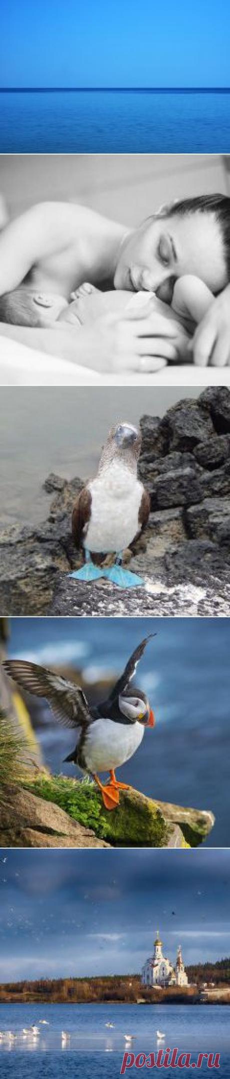 Вечернее Море — Андрей Власов — AdMe Photo Awards 2014