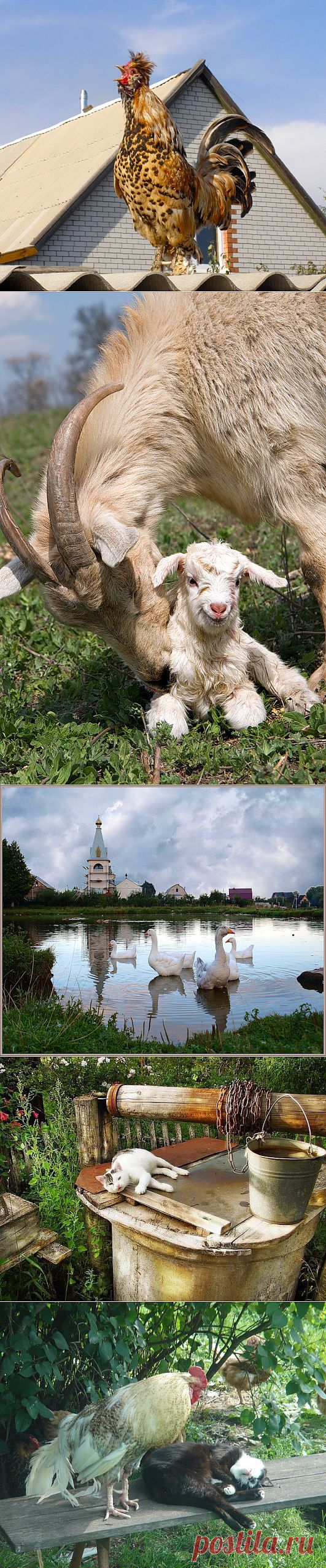 Деревенская тема