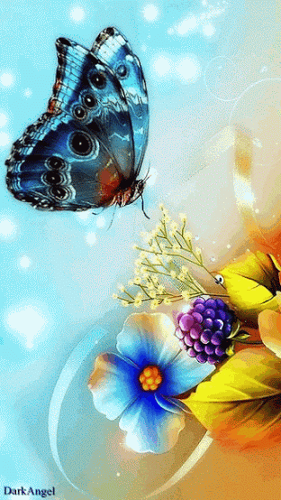 Интересные картинки, цитаты