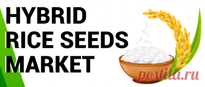 Hybrid Rice Seeds Market Size, Growth | Industry Trends [2027]