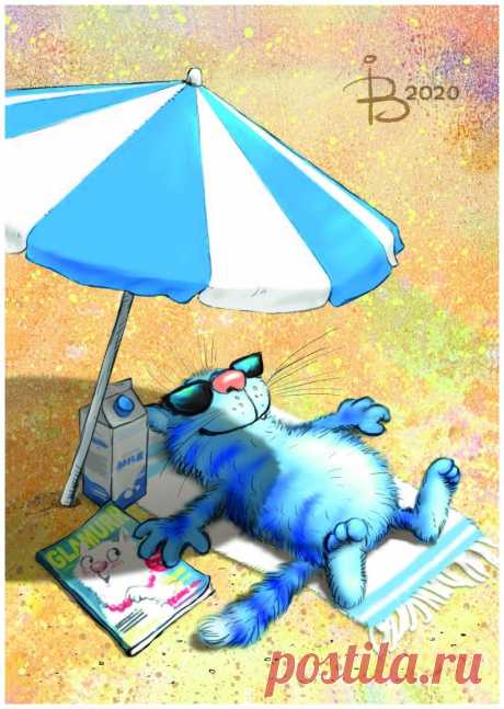 Синие коты - 61 фото - картинки: смотреть онлайн