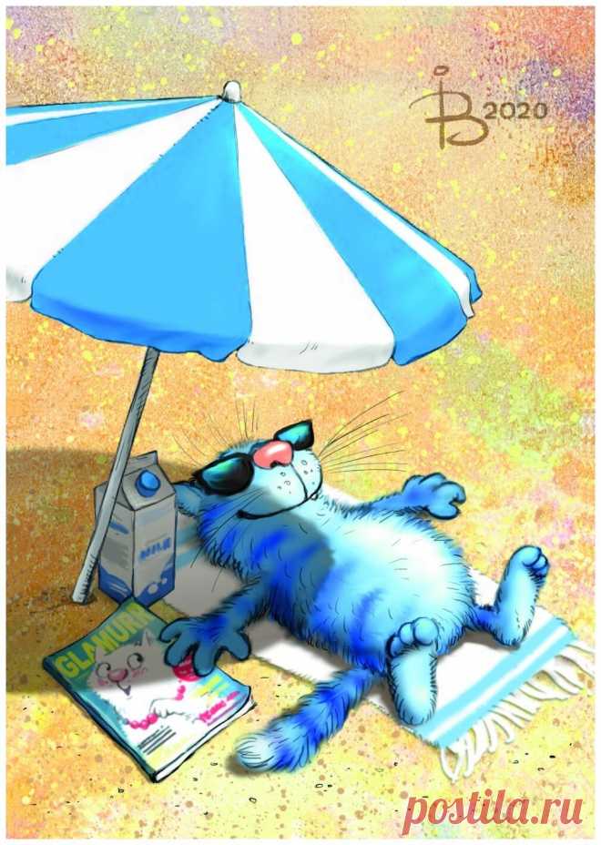 Синие коты - 61 фото - картинки: смотреть онлайн