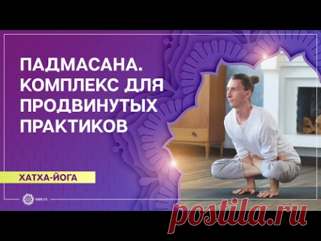 Хатха-йога. Освоение падмасаны. Комплекс для продвинутых практиков. Илья Головачёв