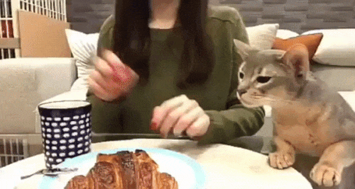 (6) Мой Мир@Mail.Ru