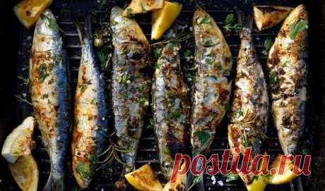 Готовлю рыбу так, что она получается вкуснее любых шашлыков. Для этого я беру скумбрию, лимон и сливочное масло