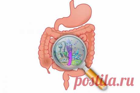 ДАБЫ «ИММУНКА» ОЖИЛА НА 100%, ТРЕБУЕТСЯ ВСЕГО ЛИШЬ ВЫДЕРЖКА И 3 ДНЯ Вот так это происходит.
Американские учёные выяснили, что при голодании организм избавляется от ненужных и повреждённых клеток. Когда же человек вновь начинает принимать пищу, его стволовые клетки производят новые лейкоциты, фактически обновляя иммунную систему. Отказ от пищи в течение трёх суток может полностью обновить иммунную...
Читай дальше на сайте. Жми подробнее ➡