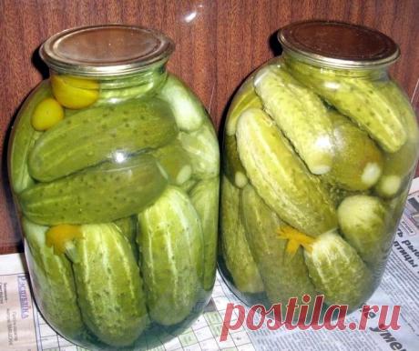 Как замариновать огурцы? Оригинально! | Еда и кулинария