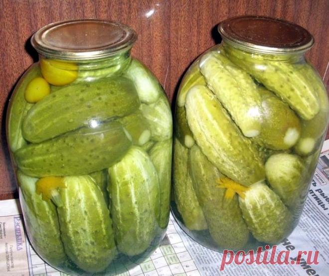 Как замариновать огурцы? Оригинально! | Еда и кулинария