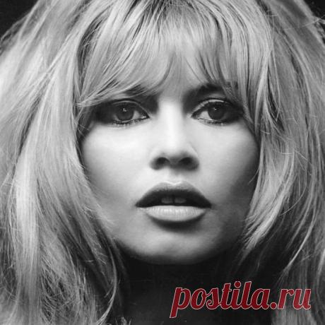 El Cadillac Negro в Instagram: «#brigittebardot» 33 отметок «Нравится», 2 комментариев — El Cadillac Negro (@elcadillacnegro) в Instagram: «#brigittebardot»