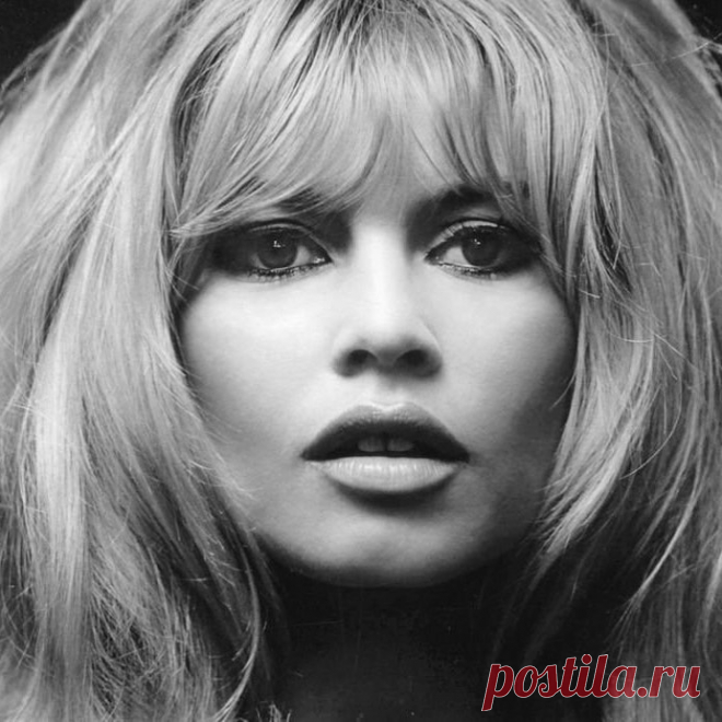 El Cadillac Negro в Instagram: «#brigittebardot» 33 отметок «Нравится», 2 комментариев — El Cadillac Negro (@elcadillacnegro) в Instagram: «#brigittebardot»