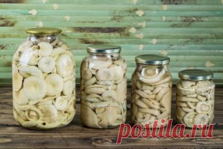 ГРУЗДИ СОЛЕНЫЕ - 7 рецептов 
 
1. ГРУЗДИ СОЛЕНЫЕ БЕЗ ДОБАВЛЕНИЯ СПЕЦИЙ 
 
Для того чтобы приготовить грузди по этому старому и простому рецепту, нужно взять: 
 
Соль крупная, можно обычная - 250 грамм; 
Грузди - 5 килограмм вымоченных грибов; 
 
Собранные вами грузди нужно сначала хорошо почистить, убрать все места, которые вам кажутся подозрительными. Червивые участки нужно срезать, а также не оставлять те места, в которые есть проколы от хвои. После нужно отрезать у кажд...