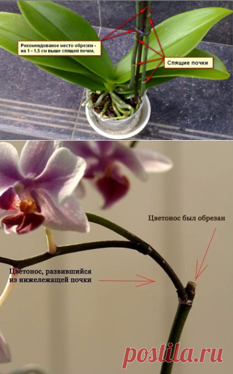 (7) Одноклассники