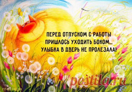 Лучшее в мире настроение выглядит так: