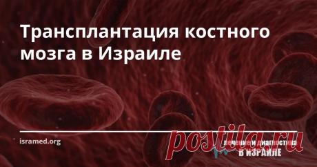 Трансплантация костного мозга в Израиле Костный мозг - основной кроветворный орган человека: стволовые клетки костного мозга преобразуются в клетки крови (эритроциты, лейкоциты, тромбоциты), необходимые для нормальной жизнедеятельности организма. При развитии гематологических и онкологических заболеваний (анемия, гемофилия, лейкемия) костный мозг утрачивает способность нормально производить  кровяные клетки. И если злокачественные новообразования поражают костный мозг, то ...