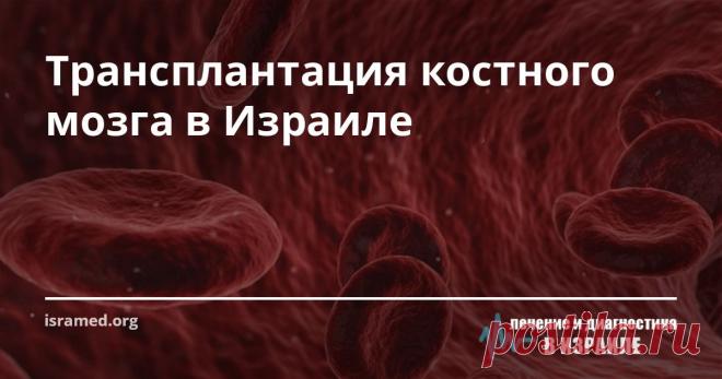Трансплантация костного мозга в Израиле Костный мозг - основной кроветворный орган человека: стволовые клетки костного мозга преобразуются в клетки крови (эритроциты, лейкоциты, тромбоциты), необходимые для нормальной жизнедеятельности организма. При развитии гематологических и онкологических заболеваний (анемия, гемофилия, лейкемия) костный мозг утрачивает способность нормально производить  кровяные клетки. И если злокачественные новообразования поражают костный мозг, то ...