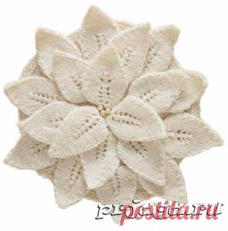 Вязаный мотив из лепестков