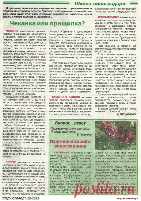Школа виноградаря