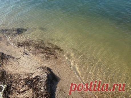 Творческо-дискуссионный клуб "ОТРАЖЕНИЯ"