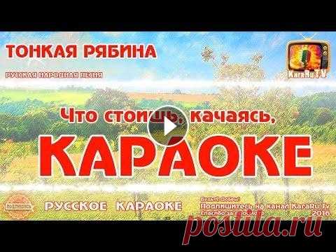 Караоке - "Тонкая рябина " Русская Народная песня Новая Если Вам нравится наш проект - поддержите нас Русская Народная песня "Тонкая рябина ". Что стоишь, качаясь, Тонкая рябина, Головой склоняясь...
