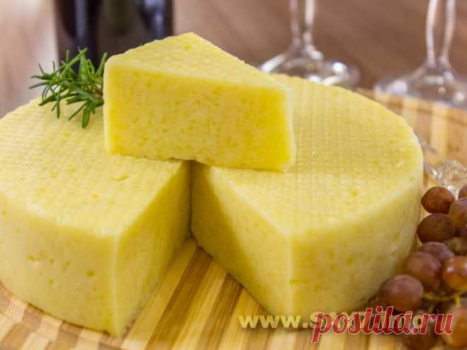 Рецепт самого вкусного домашнего сыра