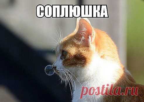 Упс.....пардон..