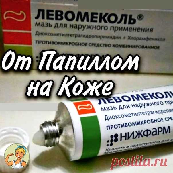 Левомеколь - очень эффективное средство против папиллом!
⠀
 Как же правильно применять Левомеколь от папиллом на коже
⠀
 Очищаем кожу вокруг папилломы от загрязнений.
⠀
 На здоровую ткань вокруг папилломы можно нанести для защиты ухаживающий жирный крем.
⠀
 Левомеколь необходимо наносить точечно только на нарост, дать мази впитаться.
⠀
 Используем средство 2 раза в сутки, через несколько дней делаем 4х-дневный перерыв, потом продолжаем использование Левомеколя до полного и...