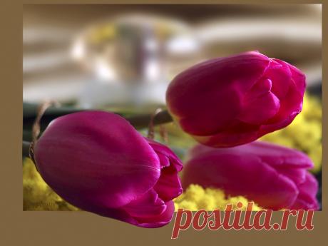 Розовое настроение. - Цветочки. Ягодки. - Raisa Rare