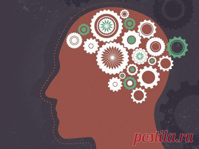 ​10 «подарков» для мозга, в которых он нуждается каждый день