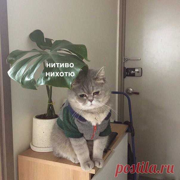 Грусть тоска)))