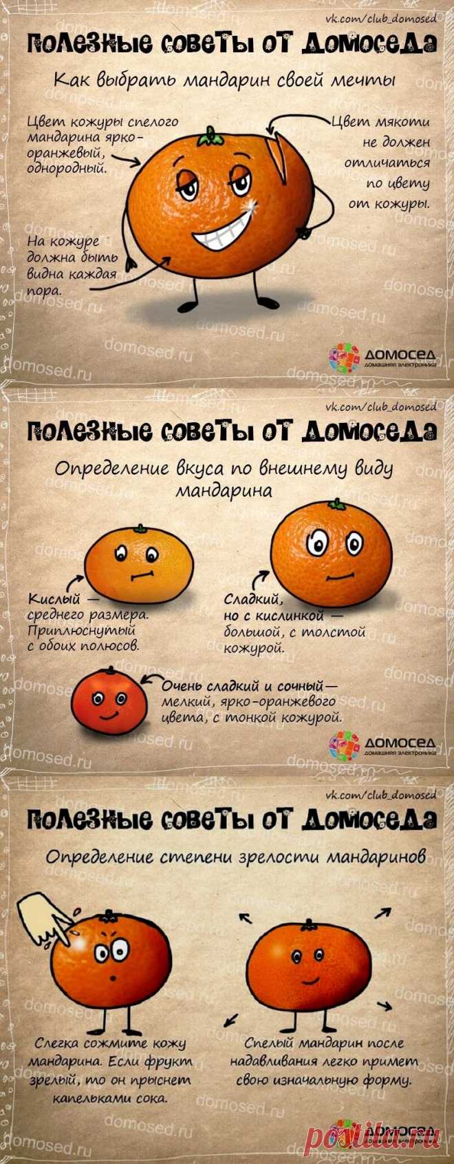Как выбрать мандарины - полезные советы от домоседа