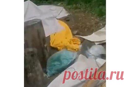 На Украине военкомы и полицейские разгромили молодежный кемпинг