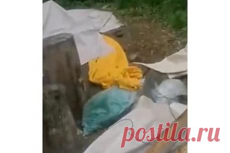 На Украине военкомы и полицейские разгромили молодежный кемпинг