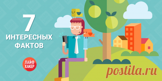 7 интересных фактов о Google - Лайфхакер