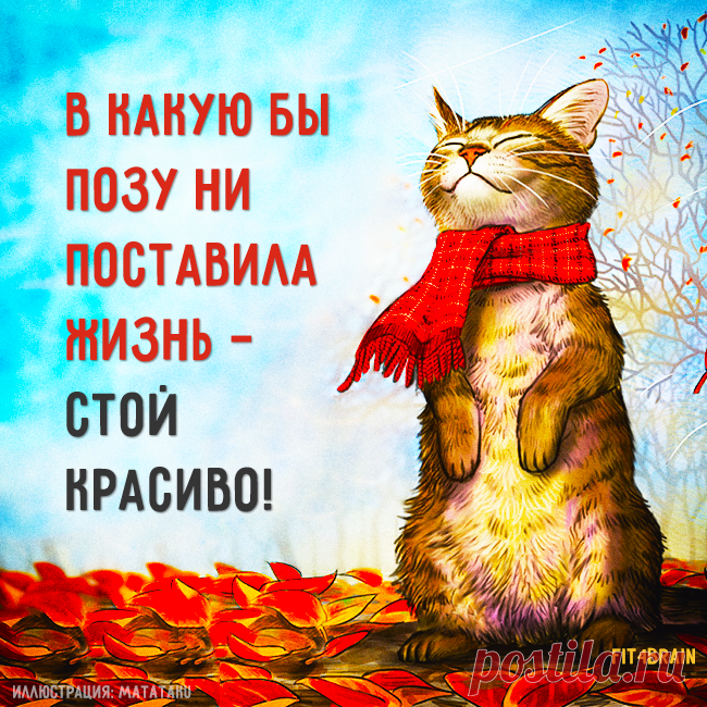 Фитнес для мозга добавил(-а) новое фото. - Фитнес для мозга | Facebook
