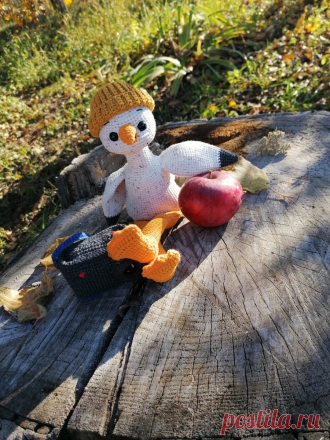 PDF Чайка Герри крючком. FREE crochet pattern; Аmigurumi bird patterns. Амигуруми схемы и описания на русском. Вязаные игрушки и поделки своими руками #amimore - птица в шапочке с фотоаппаратом, птичка, чайка.