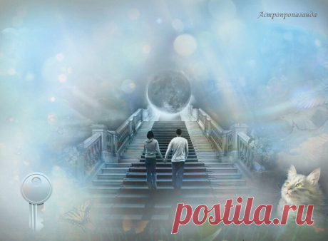 12.11.2019. Приметы этого дня ✧ Талисманы ✧ Магия ✧ Сны ✧ | Астропропаганда | Яндекс Дзен
✨ Автор: астролог Нина Стрелкова. ✧ Приметы, талисманы, сны ✧ 12.11.2019 ✧ День связан с очищением, обновлением, возвышением и сохранением равновесия. Это день радости и любви, день плодородия, когда преобладает позитивная и созидательная женская энергия. Сегодня Полнолуние, магический день, оно состоится в 16 ч. 36 мин. в Тельце, знаке, связанном с материальной сферой и материализацией желаний...