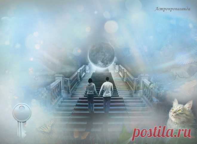 12.11.2019. Приметы этого дня ✧ Талисманы ✧ Магия ✧ Сны ✧ | Астропропаганда | Яндекс Дзен
✨ Автор: астролог Нина Стрелкова. ✧ Приметы, талисманы, сны ✧ 12.11.2019 ✧ День связан с очищением, обновлением, возвышением и сохранением равновесия. Это день радости и любви, день плодородия, когда преобладает позитивная и созидательная женская энергия. Сегодня Полнолуние, магический день, оно состоится в 16 ч. 36 мин. в Тельце, знаке, связанном с материальной сферой и материализацией желаний...