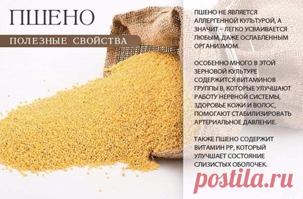 Сшила дочке костюм Снежной королевы Как вам образ?