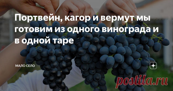 Портвейн, кагор и вермут мы готовим из одного винограда и в одной таре Первый жом винограда это портвейн. Второй - кагор. И третий, соответственно, вермут. Готовим разные марки вина мы у себя дома из винограда 