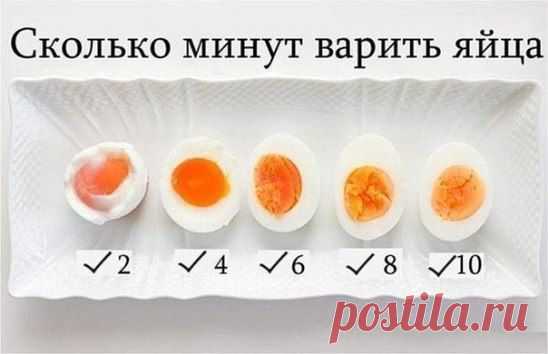 (25) Одноклассники