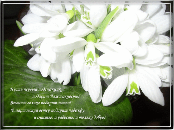 Я поздравляю вас с весной...