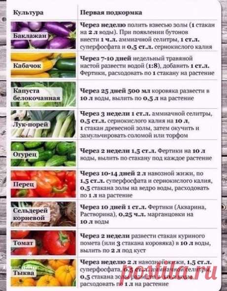 Сохраняем полезные советы!