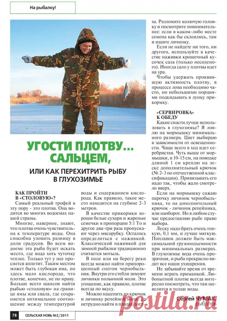 Угостим плотву... сальцем, или как перехитрить рыбу в глухозимье