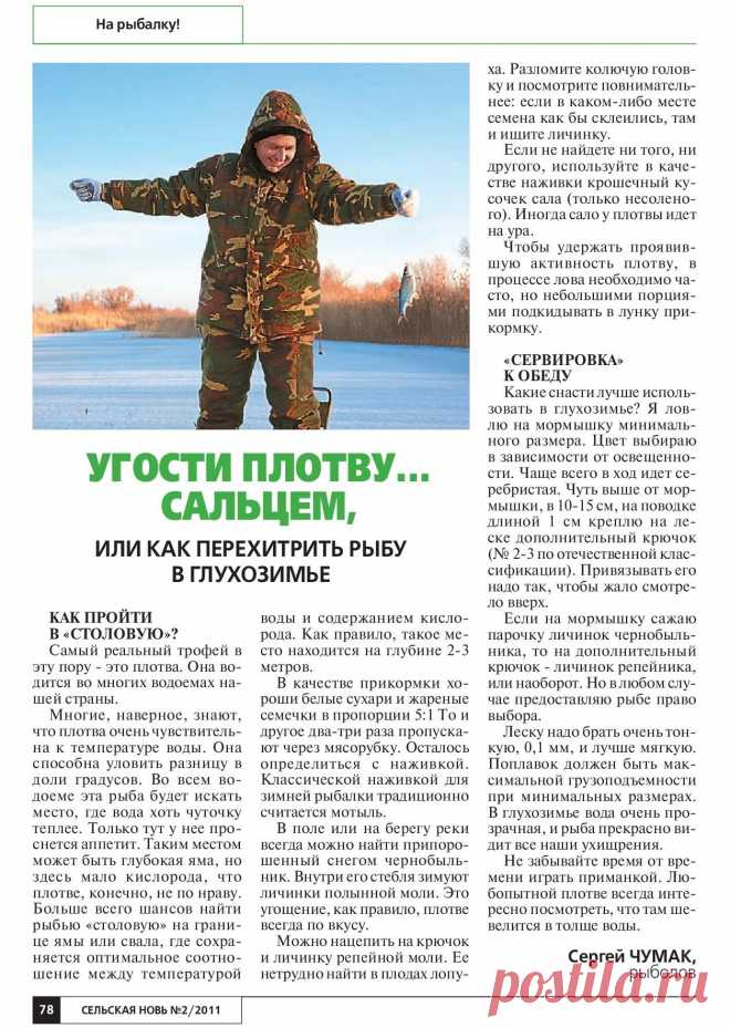 Угостим плотву... сальцем, или как перехитрить рыбу в глухозимье