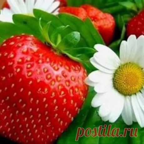 На Украине раскрыли «коварный план» ликвидации Керченского моста - МирТесен