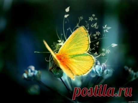 ЧАЛМА, ТЮРБАН