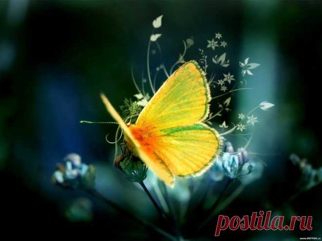 ЧАЛМА, ТЮРБАН