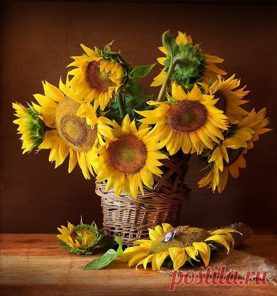 Pinterest