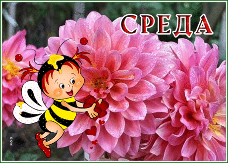 Живая открытка со средой с пчелкой