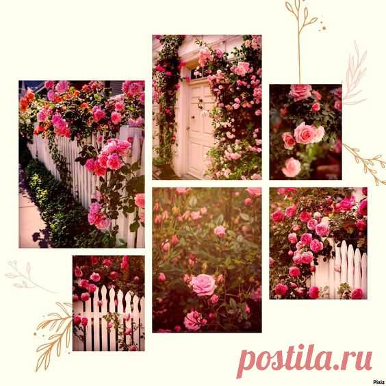 Flowers Roses Nature Red Vintage Tenderness Inspiration
#винтаж #мода #дизайн